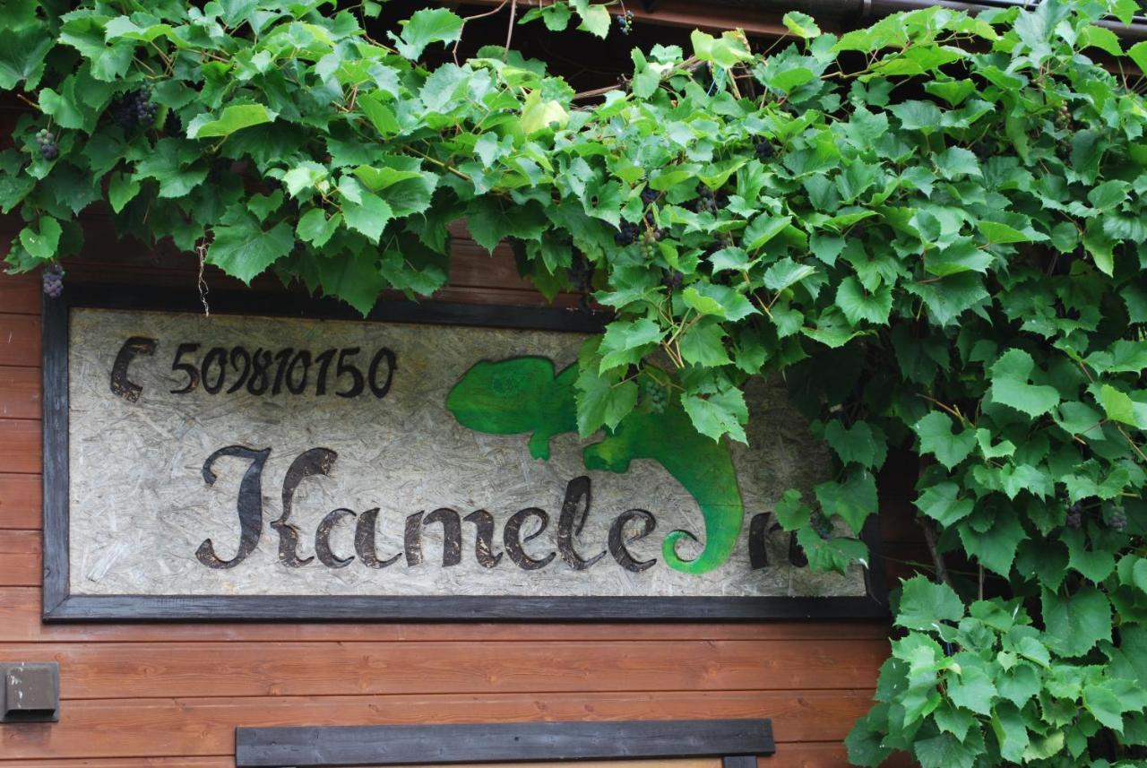 Hotel Kameleon Dźwirzyno Exterior foto